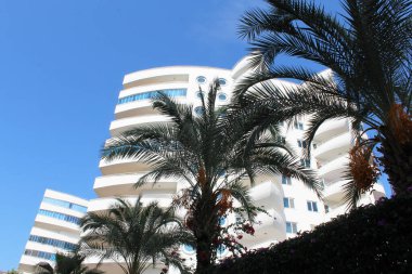  Mavi gökyüzünün arka planında palmiye ağaçları ve yeni daireler