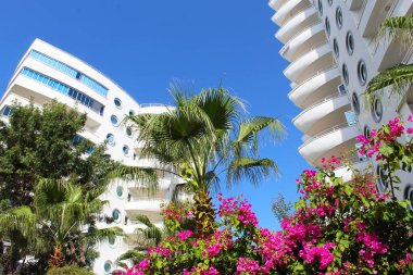 Mavi gökyüzü ve pembe bougainvillea çiçeklerinden oluşan bir arka plan karşısında balkonları olan güzel beyaz apartman daireleri.