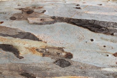  Eski ahşap dokular, doğal ahşap arka plan.