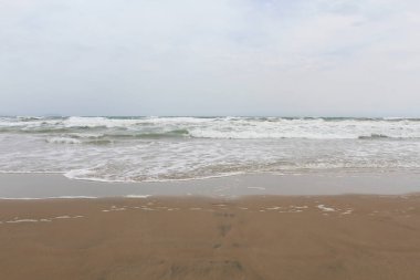 Baltık Denizi 'ndeki kumsal. Sahilde dalgalar