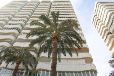 İspanya 'nın Alikante şehrindeki güzel modern ev ve yatak odası.