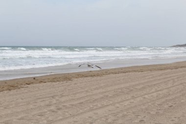 Kışın deniz kıyısında.