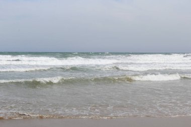 Sahilde dalgalar