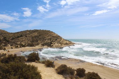 Güzel bir yaz gününde deniz kıyısında