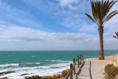 Akdeniz manzarası Palmiye ile