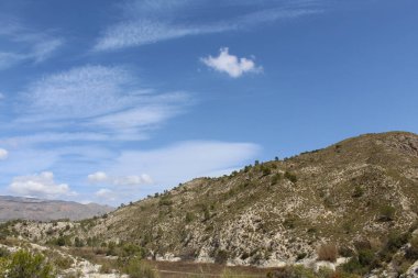 Arka planda ağaçlar ve dağlar olan manzara