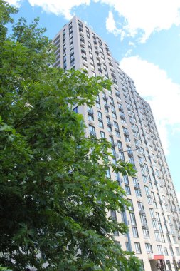 Yeni bir modern yerleşim yeri ve büyük yeşil bir ağaç.