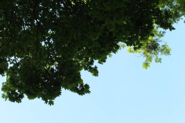 mavi gökyüzü ve beyaz bulutlar arka plan