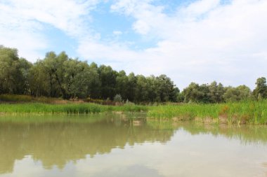 Parktaki bir gölün manzarası