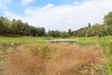 Nehir ve gölü olan güzel bir manzara.
