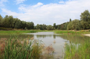 Nehir ve gölü olan güzel bir manzara.