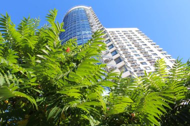 Gökdelenler mavi gökyüzüne karşı, yakın plan