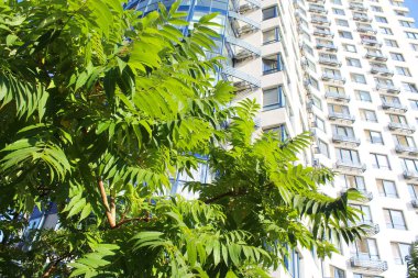 Ukrayna 'nın Kiev şehrinde mavi gökyüzü ve ağaçlarla modern mimari binalar inşa ediliyor., 