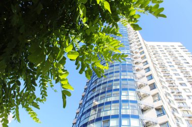 Ukrayna 'nın Kiev şehrinde mavi gökyüzü ve ağaçlarla modern mimari binalar inşa ediliyor., 