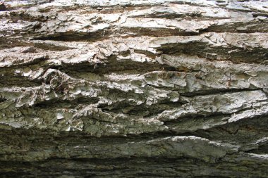 bir taş arkaplanının dokusu