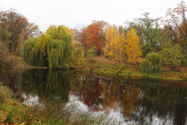 Parkta nehri olan güzel bir manzara.