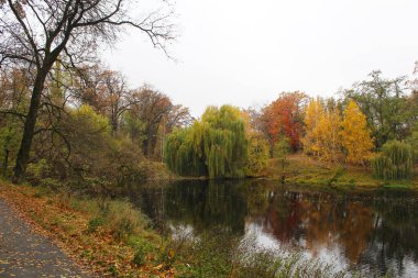 Arka planda göl olan güzel bir sonbahar parkı manzarası.