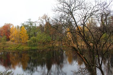 sonbahar Peyzaj Park.