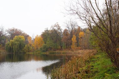 Sonbahar manzarası. Göl ve orman. sonbahar günü.