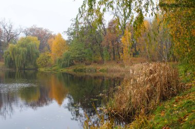 City Park sonbahar park