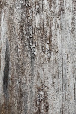 ahşap doku, ahşap arka plan