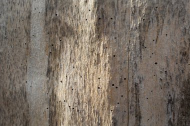 eski ahşap doku arkaplanı