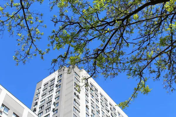 Şehirdeki modern apartman