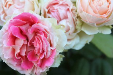 Güzel bir buket çiçek.