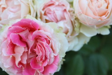 Güzel pembe gül buketi