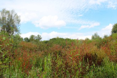 Göllü güzel bir manzara.