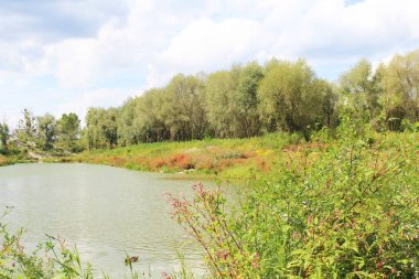 Yazın gölün güzel manzarası