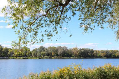 bir göl ve bir ağaç, su, göl, manzara, nehir, doğa, gökyüzü, ağaç, yansıma, yaz, yeşil, mavi, ağaçlar, orman, çimen, bahar, gölet, bulutlar, manzara, bulut, park, açık hava, gün, sakin manzara, huzur