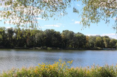 bir göl ve bir ağaç, su, göl, manzara, nehir, doğa, gökyüzü, ağaç, yansıma, yaz, yeşil, mavi, ağaçlar, orman, çimen, bahar, gölet, bulutlar, manzara, bulut, park, açık hava, gün, sakin manzara, huzur