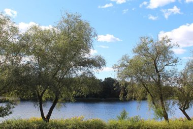 bir göl ve bir ağaç, su, göl, manzara, nehir, doğa, gökyüzü, ağaç, yansıma, yaz, yeşil, mavi, ağaçlar, orman, çimen, bahar, gölet, bulutlar, manzara, bulut, park, açık hava, gün, sakin manzara, huzur