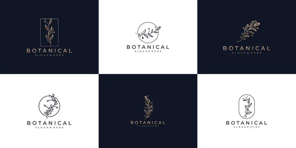 Botanik çizgileri, güzellik, sağlık ve doğa logosunun sembolü.