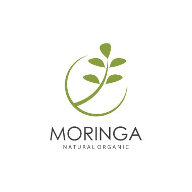 Yeşil Doğal Moringa Yaprak Simgesi Beyaz Arkaplanda İzole Edildi.