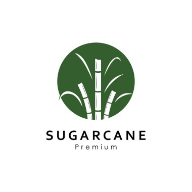 Yeşil Yapraklı Doğal Şeker Çubuğu Bitkisi 'nin Vektör İllüstrasyonu. Şeker kamışı Basit Tasarım.