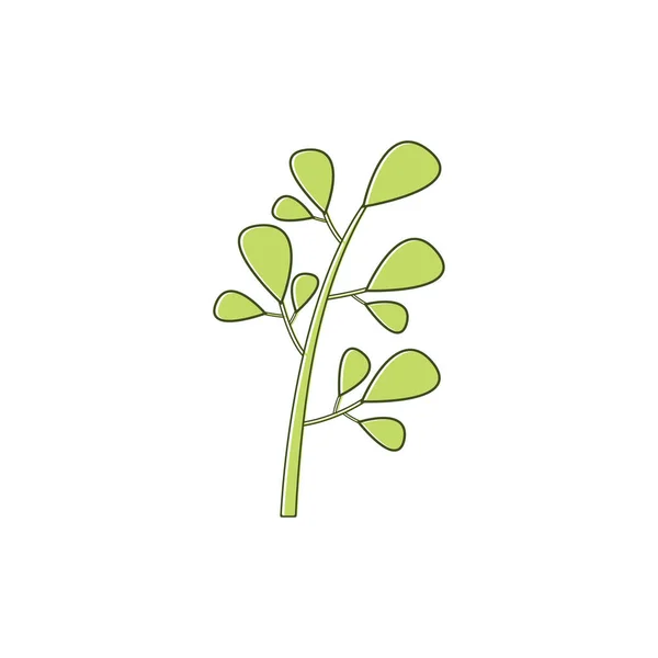 绿色天然莫林加叶子标志图标分离于白色背景 — 图库矢量图片