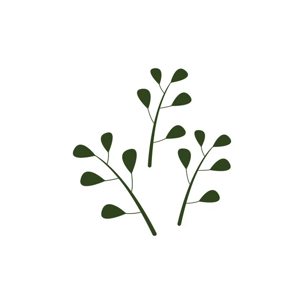 緑の天然モリンガの葉のロゴアイコン白の背景に隔離 — ストックベクタ