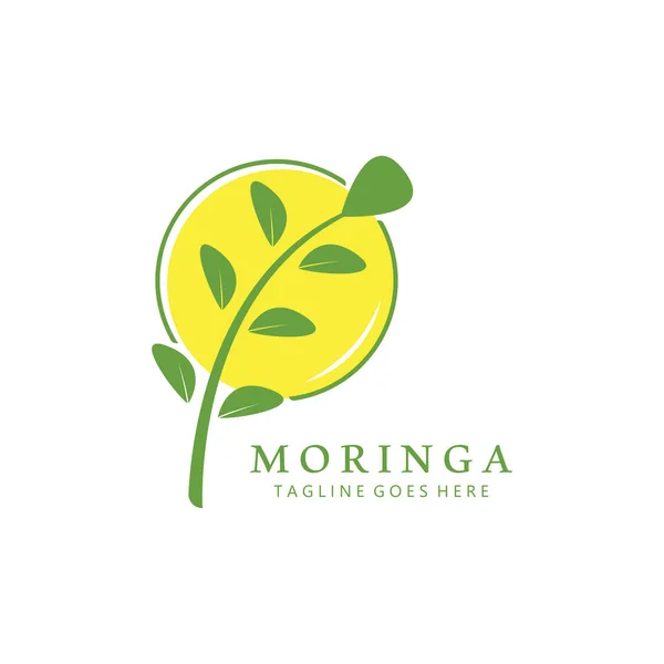 Green Natural Moringa Leaf Logo Icon Isolated White Background — Stock Vector