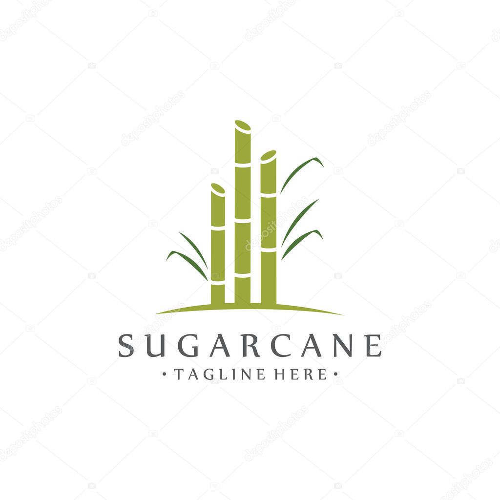 Vector Illustration of Natural Sweet Sugar Cane Plant with Green Leaves. Sugarcane Plant Simple Design.