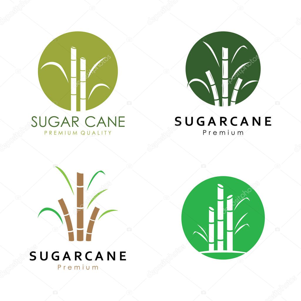 Vector Illustration of Natural Sweet Sugar Cane Plant with Green Leaves. Sugarcane Plant Simple Design.