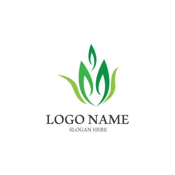 Logos Verde Albero Foglia Ecologia Natura Elemento Vettore — Vettoriale Stock