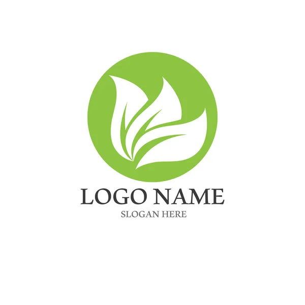 Logos Green Tree Leaf Ecology Nature Element Vector — Stock Vector