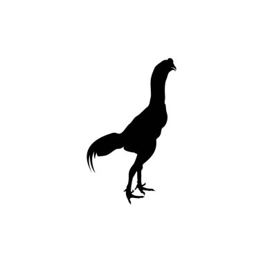 Rooster logosu vektör ikonu çizimi tasarımı