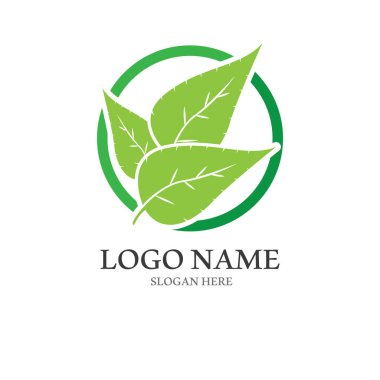 Doğal yeşil yaprak logosu. Modern tarzda logo tasarımı. Sağlık ve bakım logosu..