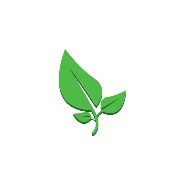 Natürliches Grünes Blatt Logo Logo Design Modernem Style Logo Für — Stockvektor
