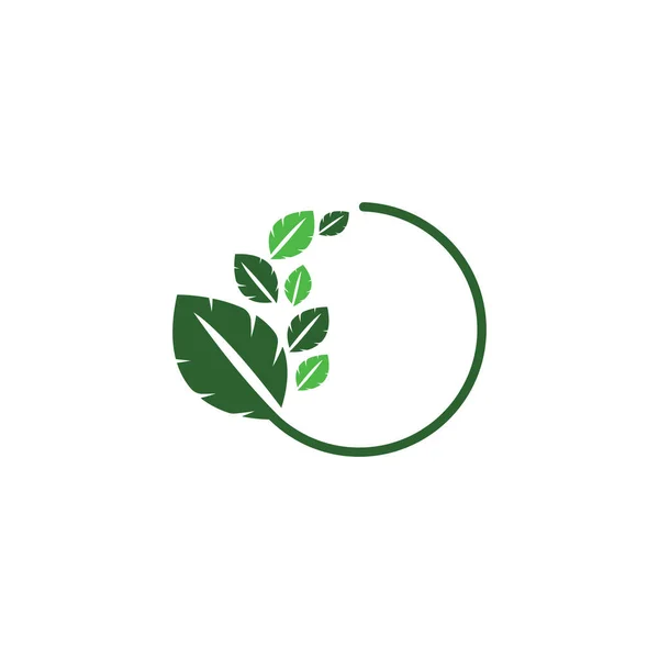 Логотип Зеленых Листьев Дизайн Современном Стиле — стоковый вектор