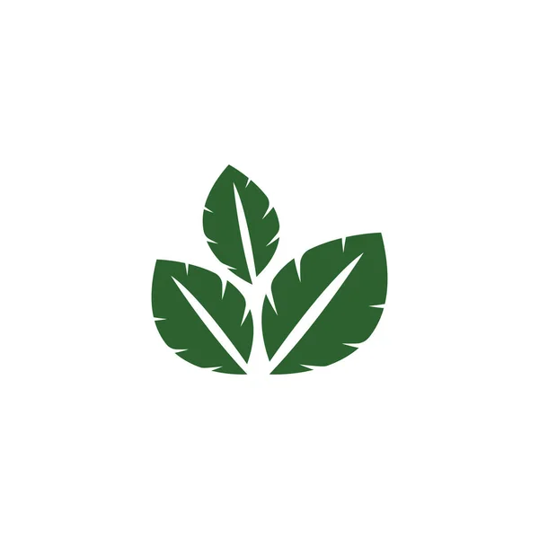 Логотип Зеленых Листьев Дизайн Современном Стиле — стоковый вектор