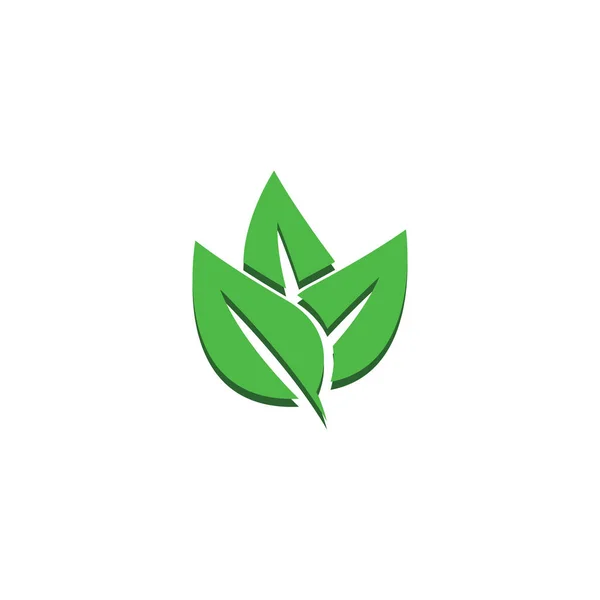 Logo Hoja Verde Natural Diseño Del Logotipo Estilo Moderno Logo — Archivo Imágenes Vectoriales